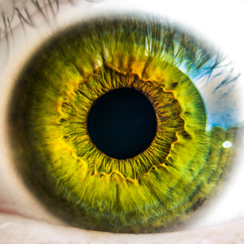Traumsymbol Auge Träume von Augen deuten Traumdeutung Träumen, Traumdeutung und mehr